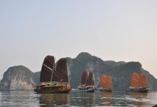 CATBA SAILING JUNK 2 DAYS 1 NIGHT & 3 DAYS 2 NIGHTS from 358 USD/PERSON only